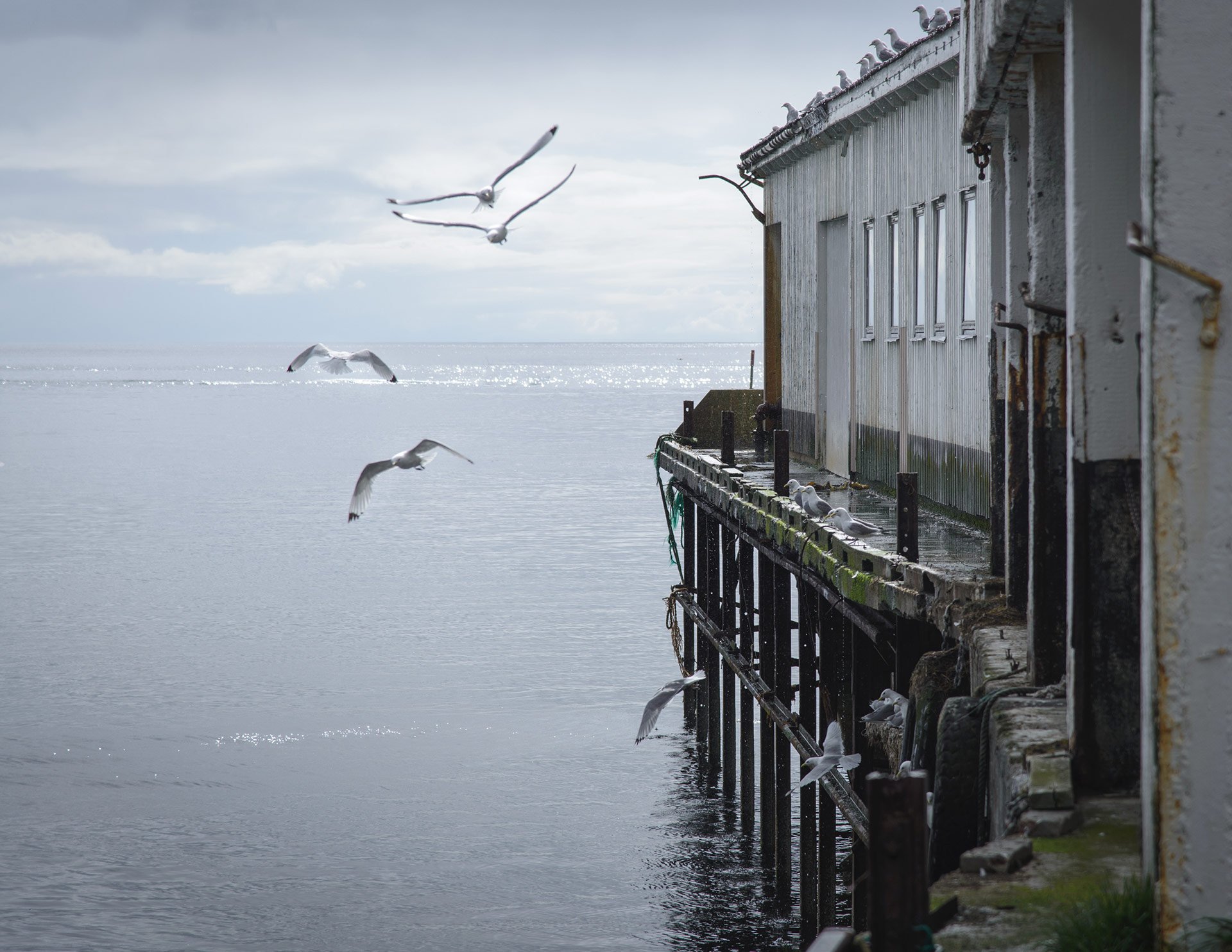 Christine Samoore Photography Custom Framing Springfield, IL