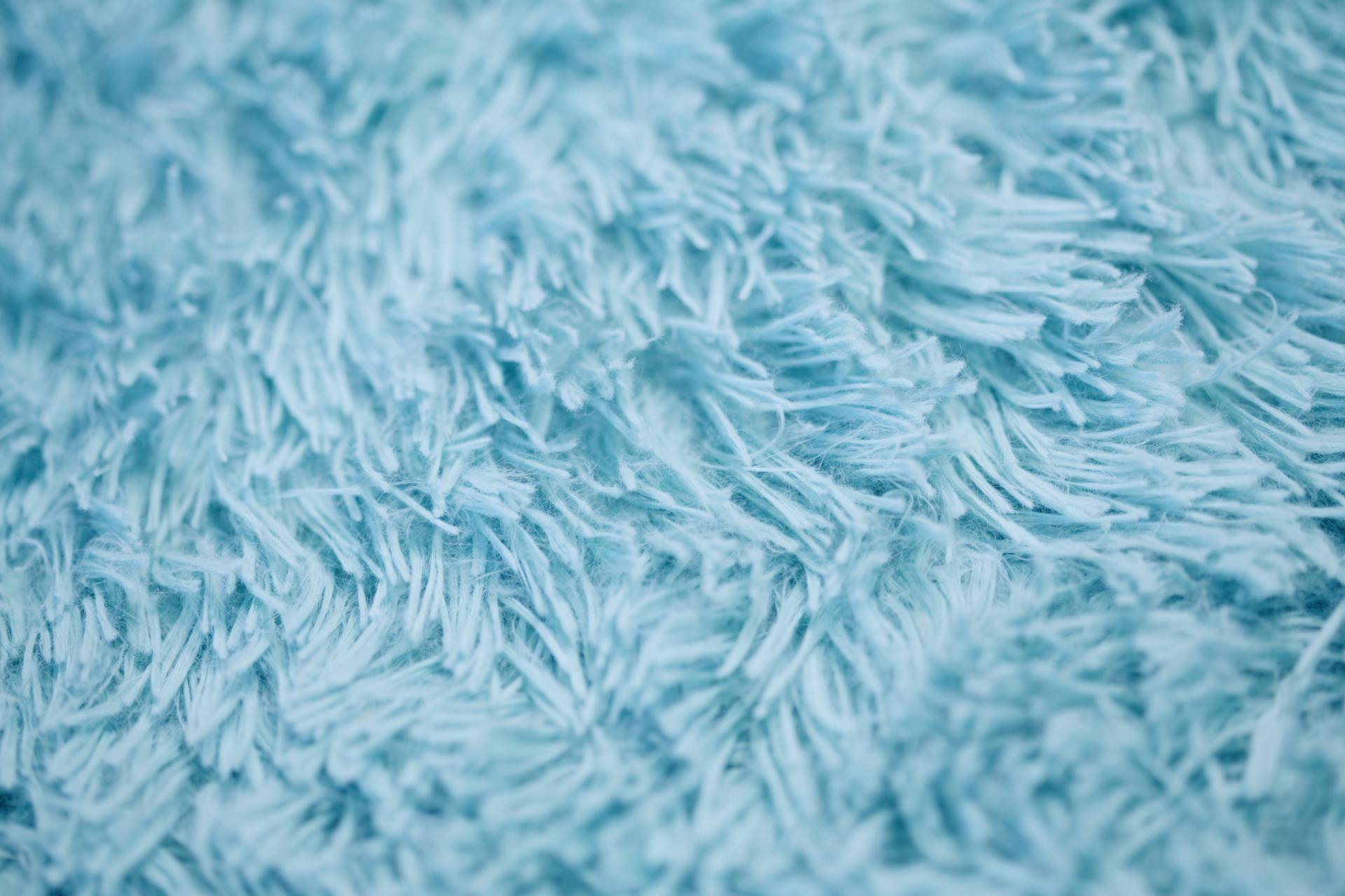 What's the Right Carpet Fiber For Your Home?