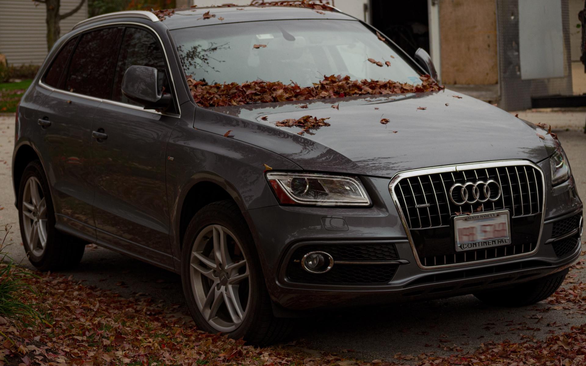 Audi Q5 Transmission Repair