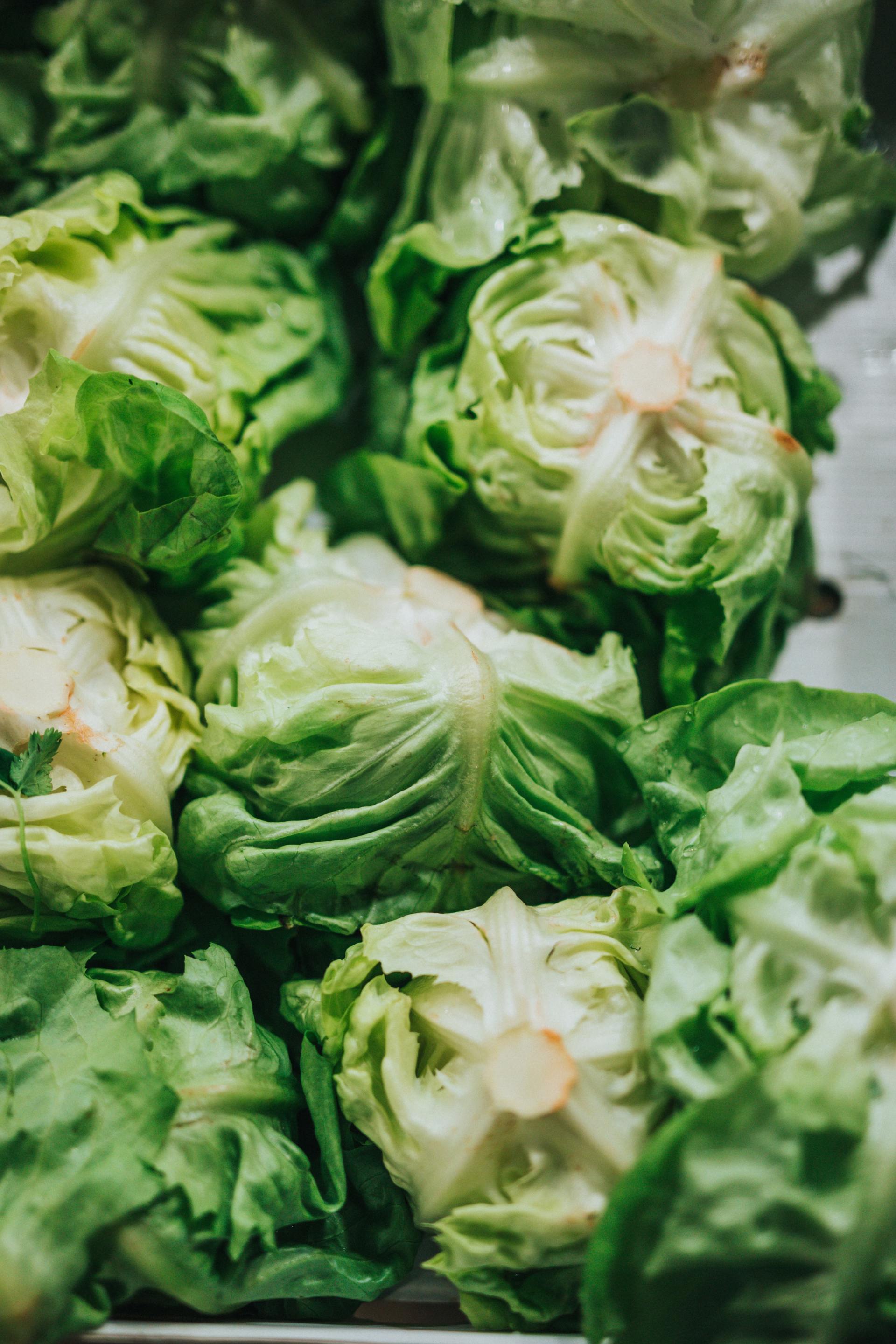 Fodmap Diet For People With Irritable Bowel Syndrome Ibs Fodmap Diet For People With Irritable Bowel Syndrome Ibs