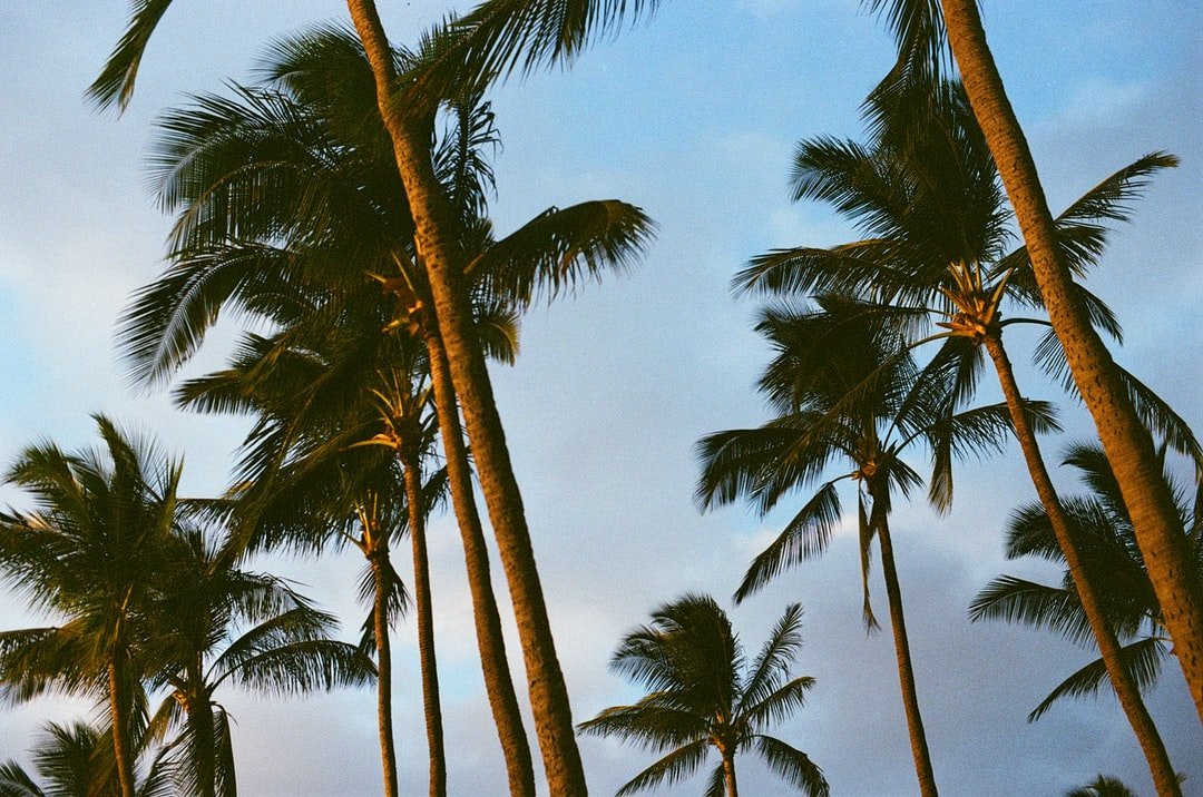 Waianae, Oahu Real Estate/Rentals/Property Management