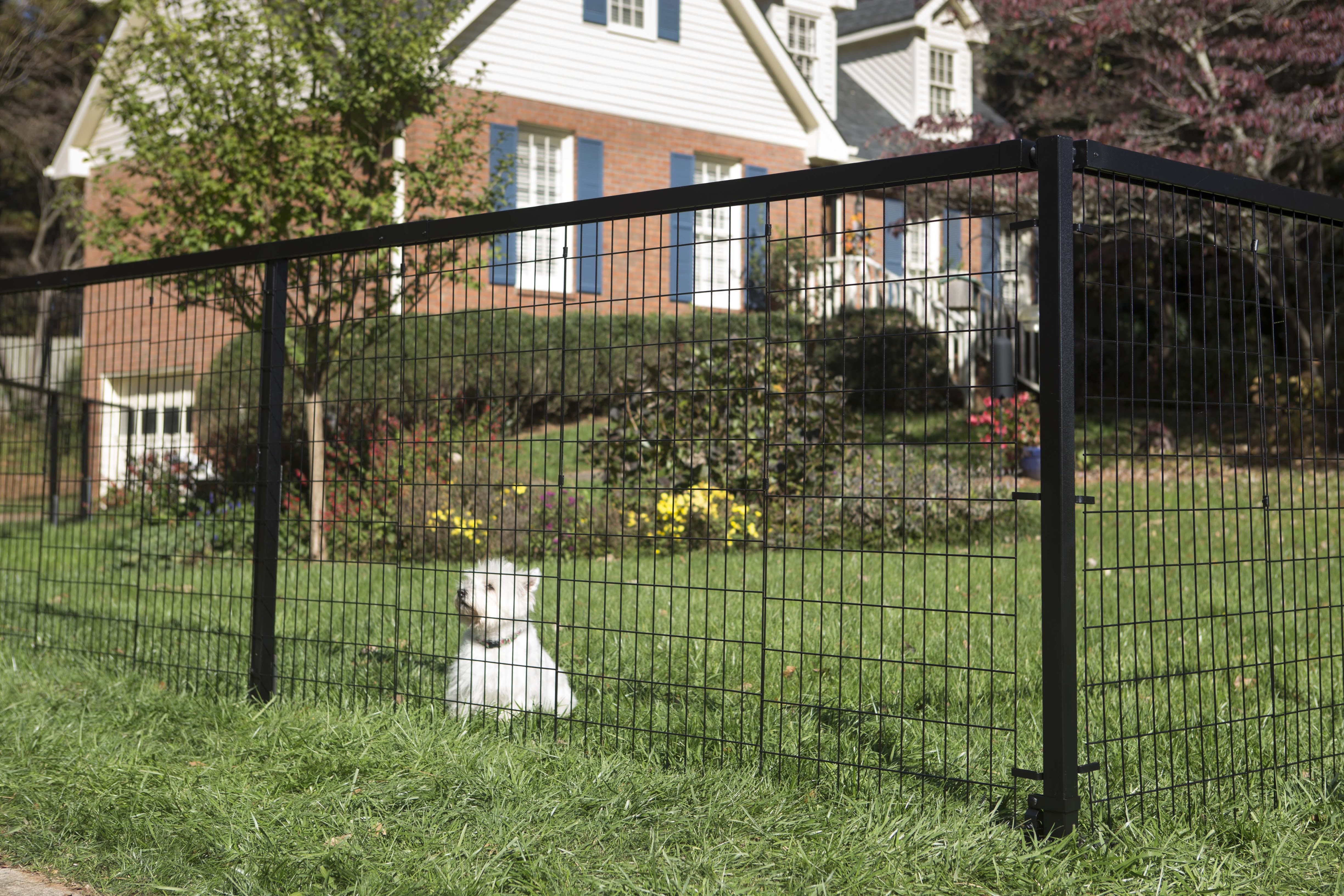 yard guard fence garden yard gard decorative steel ricks custom fencing and decking fence yard guard fence garden yard gard decorative steel ricks custom fencing and decking fence